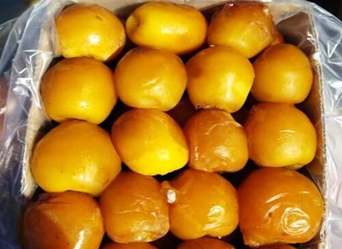 خرید خرما رطب زرد عسلی + قیمت فروش استثنایی
